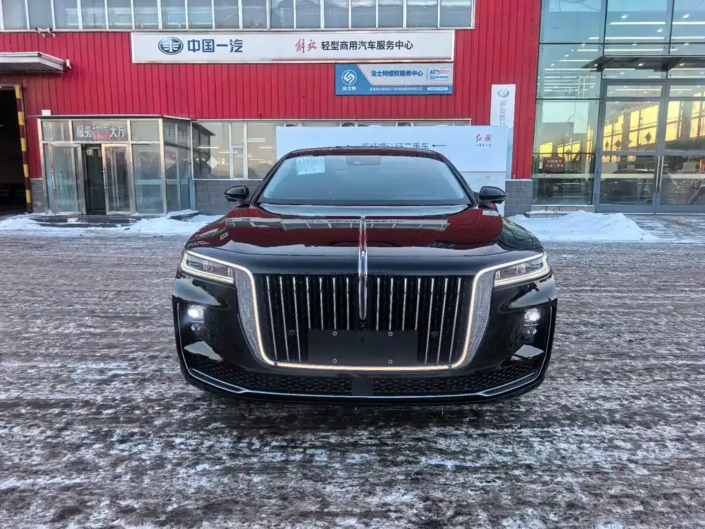 Hongqi H9 2021 из CN, фото 9