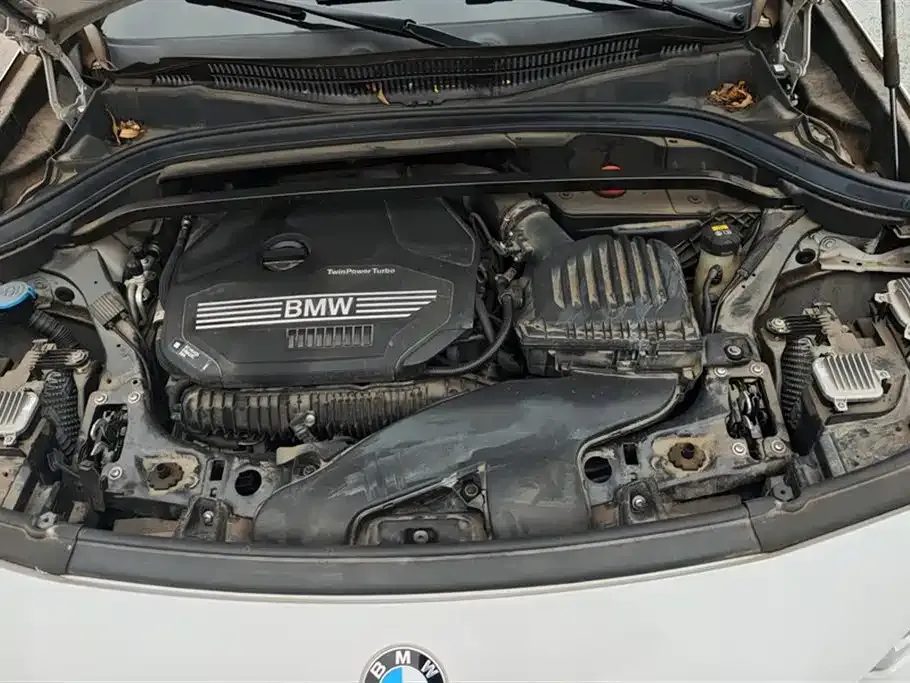 BMW X2 2021 из CN, фото 10
