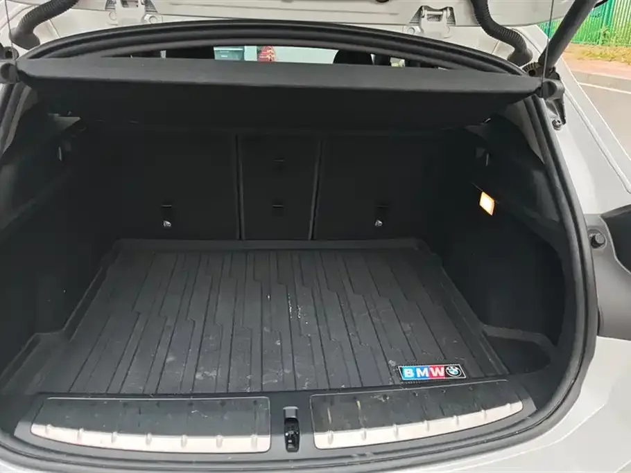 BMW X2 2021 из CN, фото 6