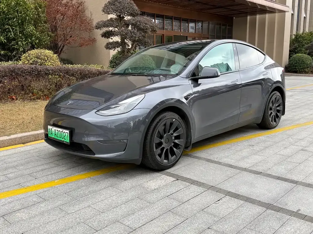 Tesla Model Y 2021 из CN, фото 1