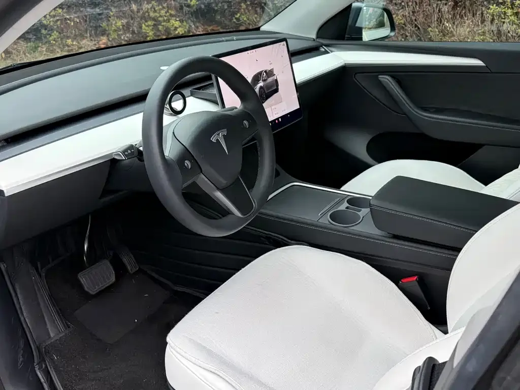 Tesla Model Y 2021 из CN, фото 2