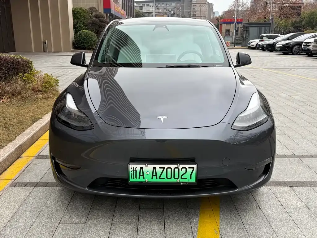 Tesla Model Y 2021 из CN, фото 6
