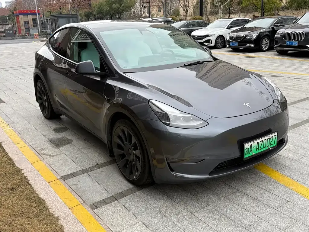Tesla Model Y 2021 из CN, фото 9