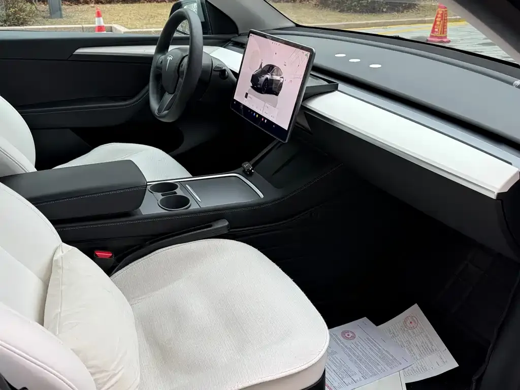 Tesla Model Y 2021 из CN, фото 5