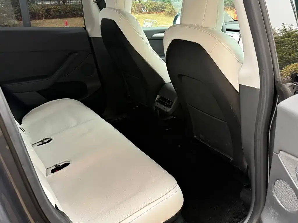 Tesla Model Y 2021 из CN, фото 3