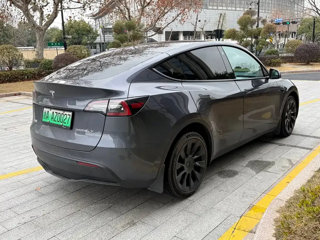 Tesla Model Y 2021 из CN, фото 8
