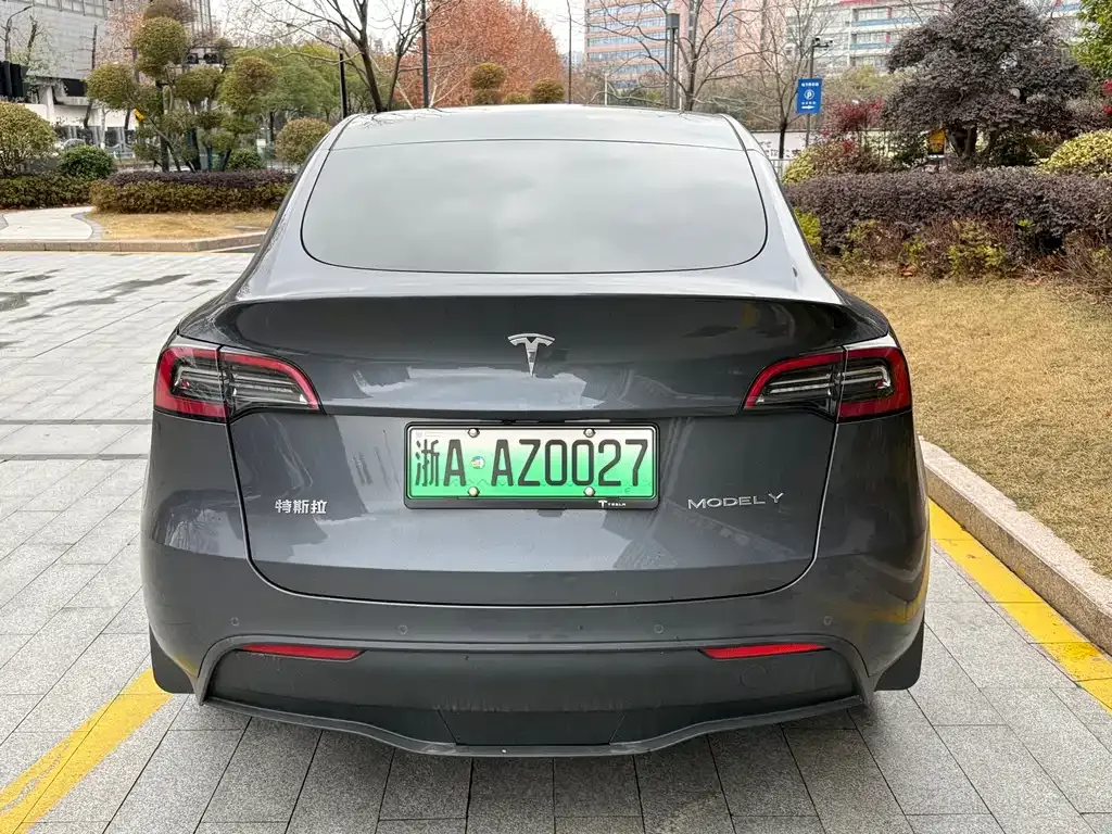 Tesla Model Y 2021 из CN, фото 7