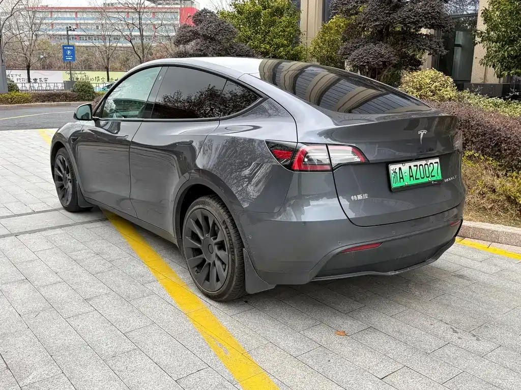 Tesla Model Y 2021 из CN, фото 10