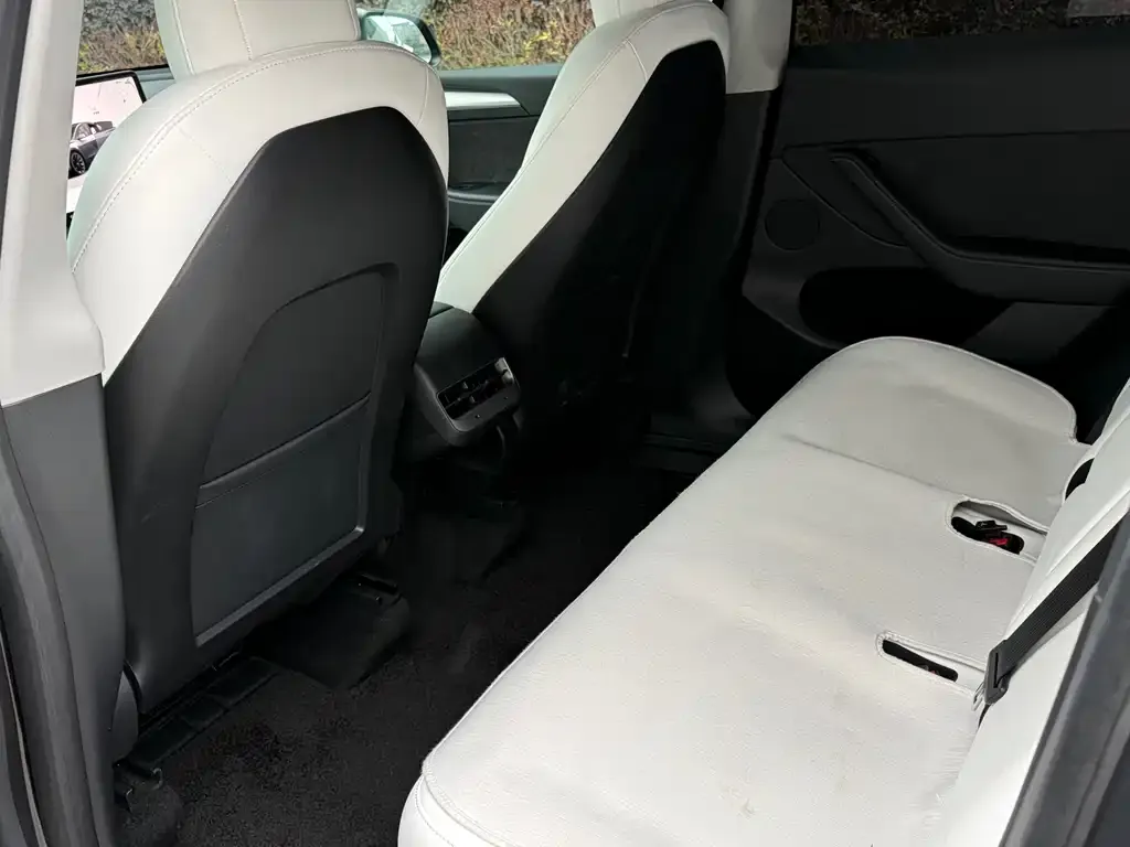 Tesla Model Y 2021 из CN, фото 4