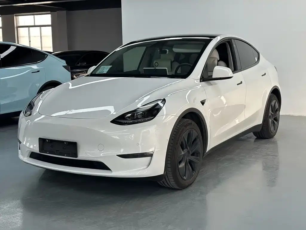 Tesla Model Y 2023 из CN, фото 1