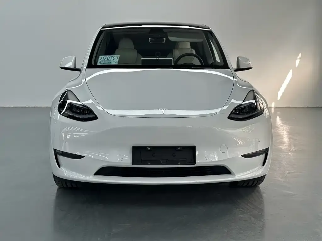 Tesla Model Y 2023 из CN, фото 2
