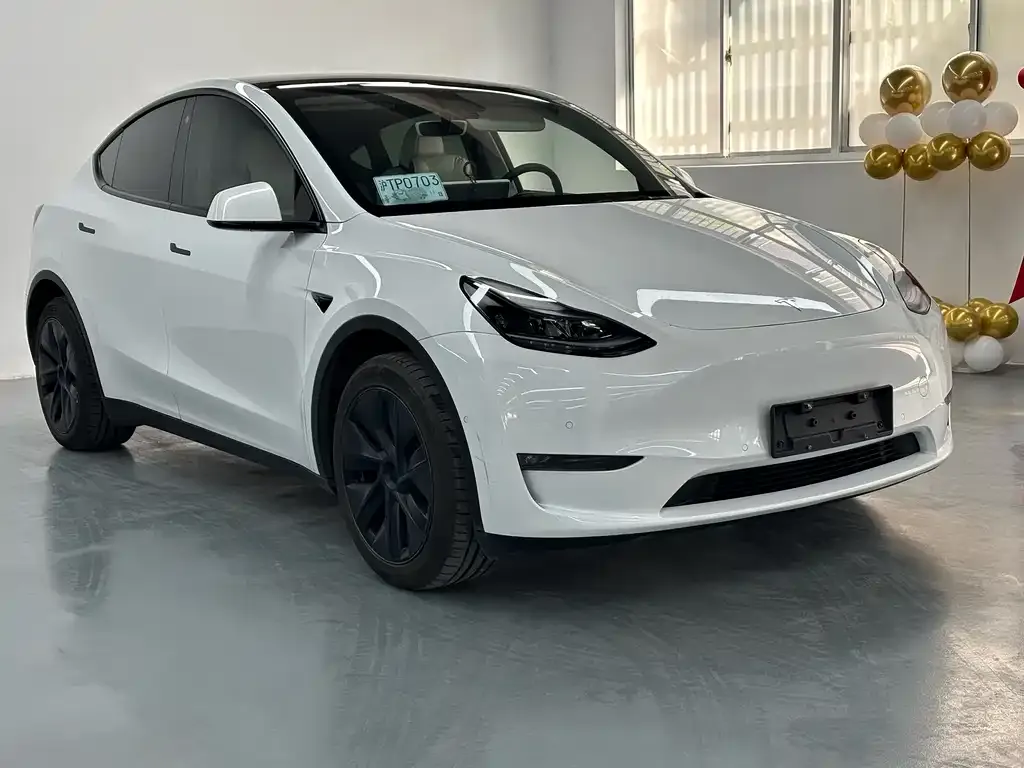 Tesla Model Y 2023 из CN, фото 8