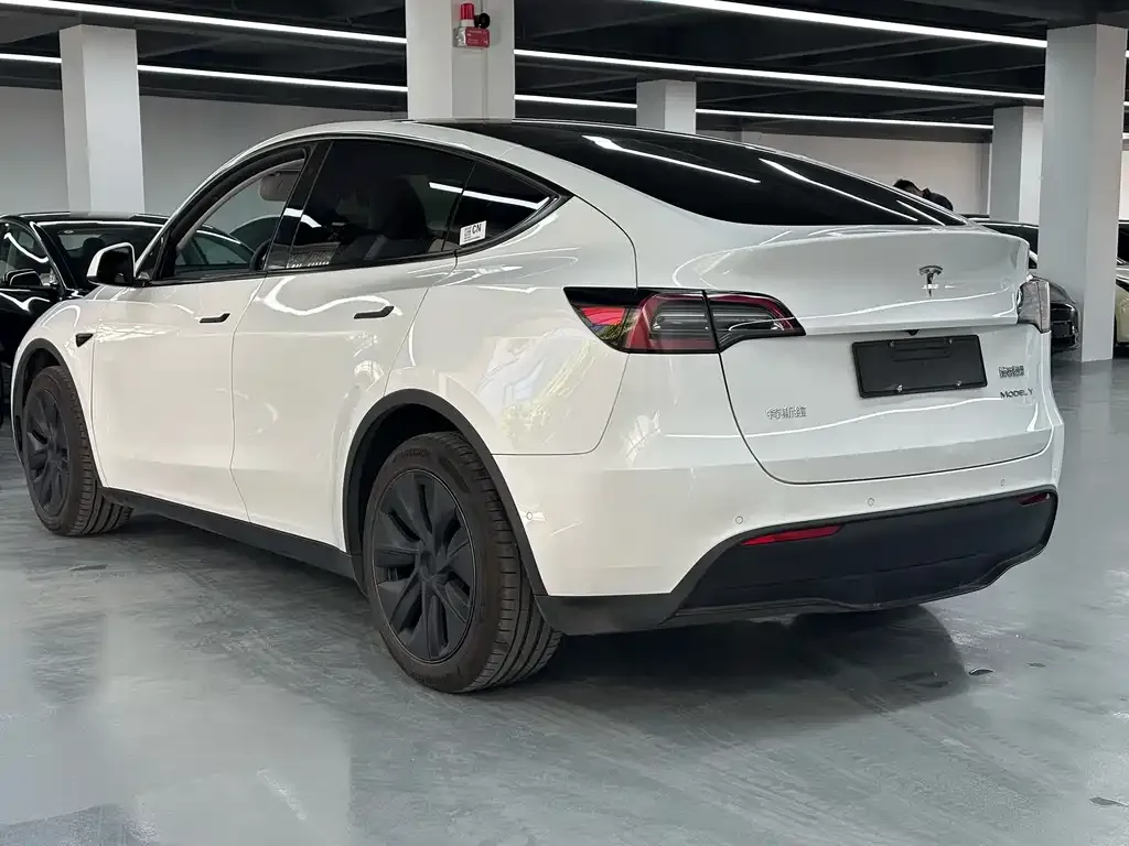 Tesla Model Y 2023 из CN, фото 9