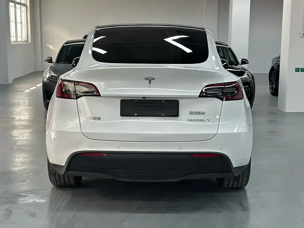 Tesla Model Y 2023 из CN, фото 6