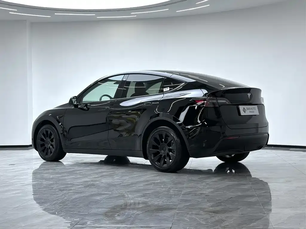 Tesla Model Y 2024 из CN, фото 3