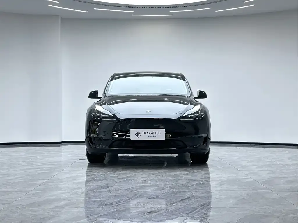 Tesla Model Y 2024 из CN, фото 4