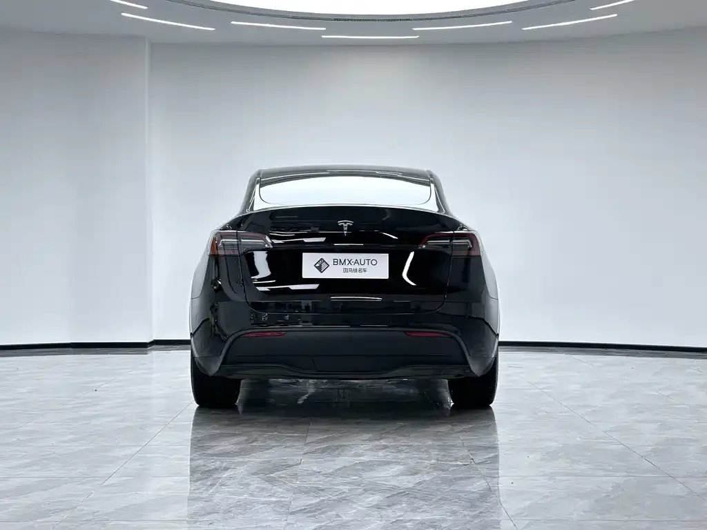 Tesla Model Y 2024 из CN, фото 2