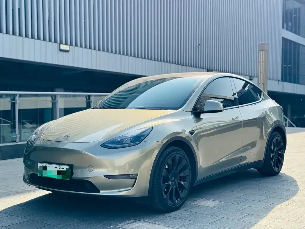 Tesla Model Y 2021 из CN, фото 1