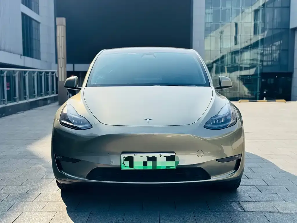 Tesla Model Y 2021 из CN, фото 7