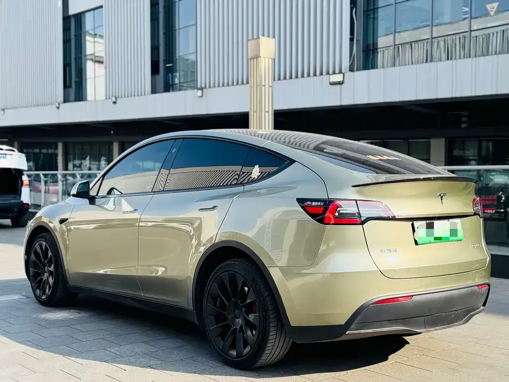 Tesla Model Y 2021 из CN, фото 8