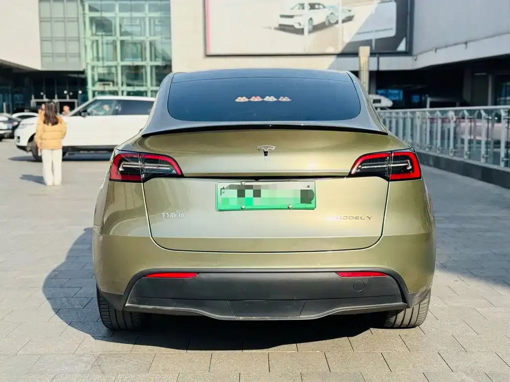 Tesla Model Y 2021 из CN, фото 5