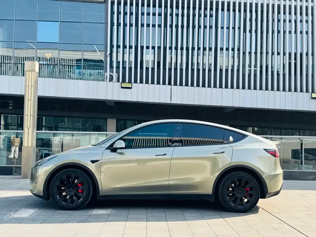 Tesla Model Y 2021 из CN, фото 10
