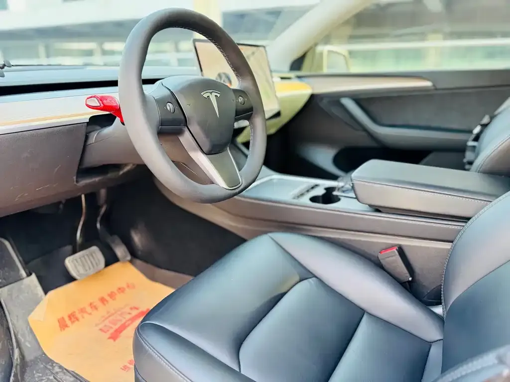 Tesla Model Y 2021 из CN, фото 4