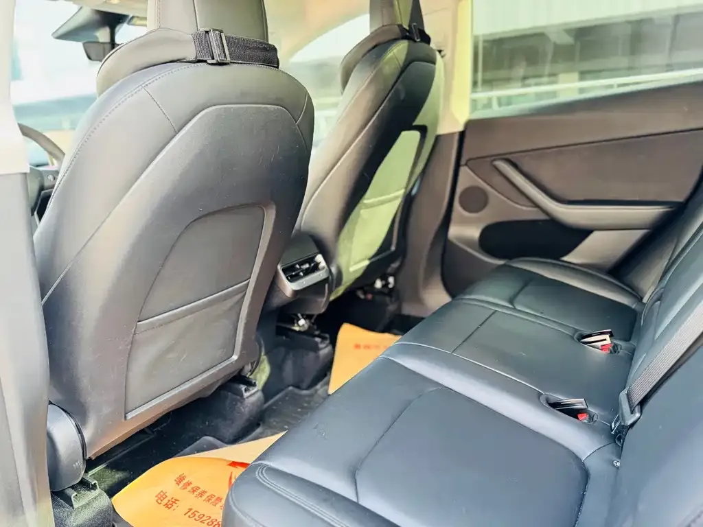 Tesla Model Y 2021 из CN, фото 6