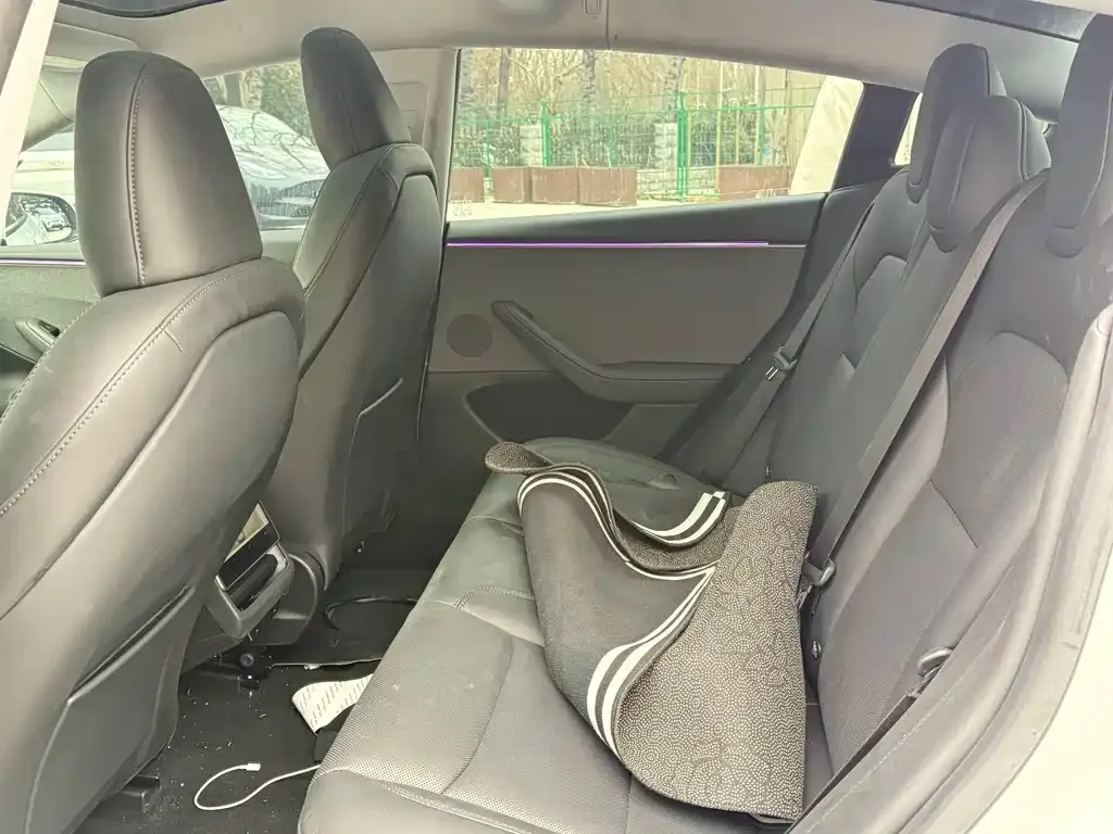 Tesla Model 3 2025 из CN, фото 5