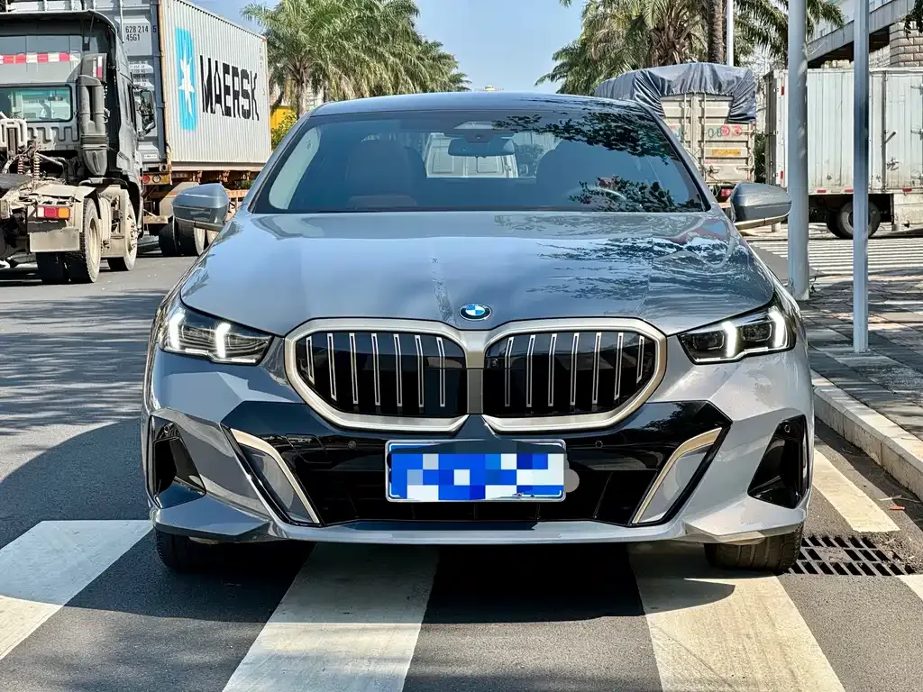BMW 5 Series 2024 из CN, фото 8