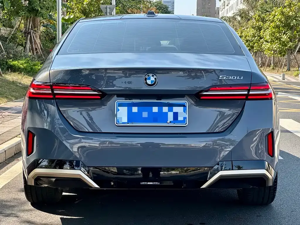 BMW 5 Series 2024 из CN, фото 5