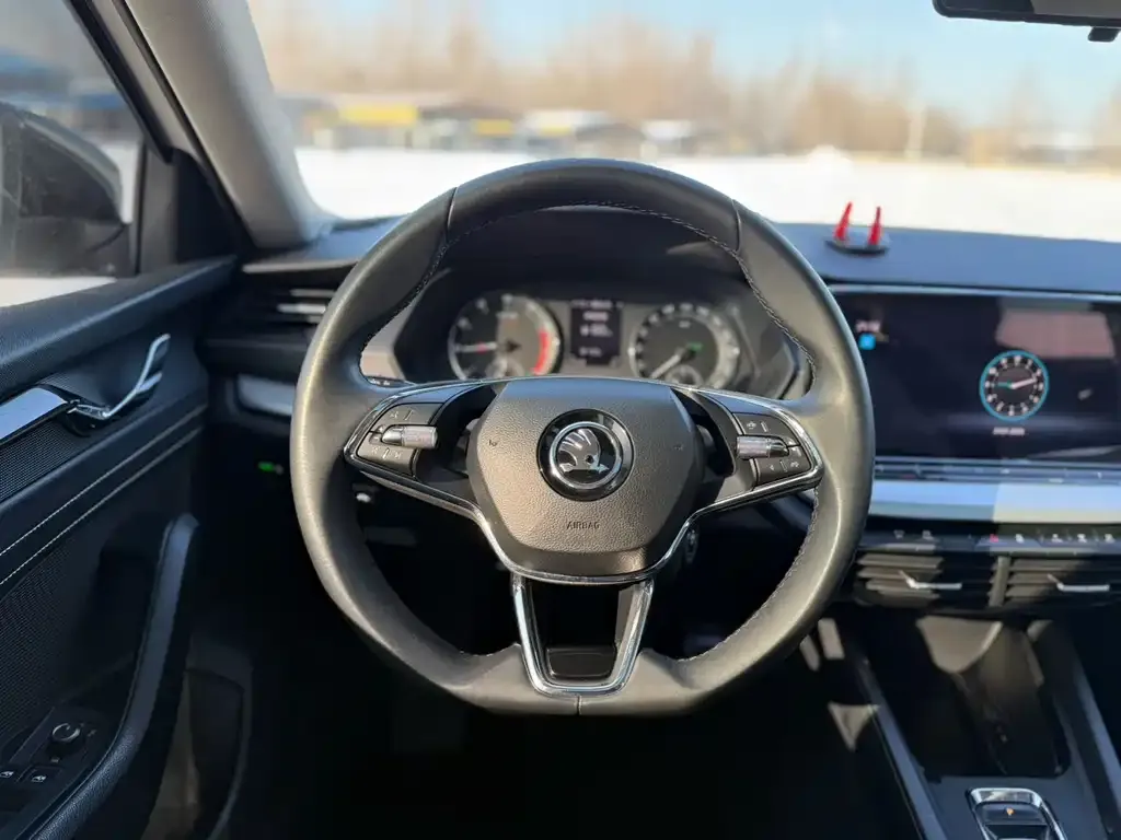 Skoda Octavia 2021 из CN, фото 3