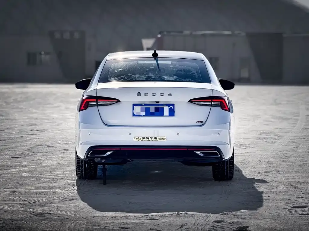 Skoda Octavia 2021 из CN, фото 9