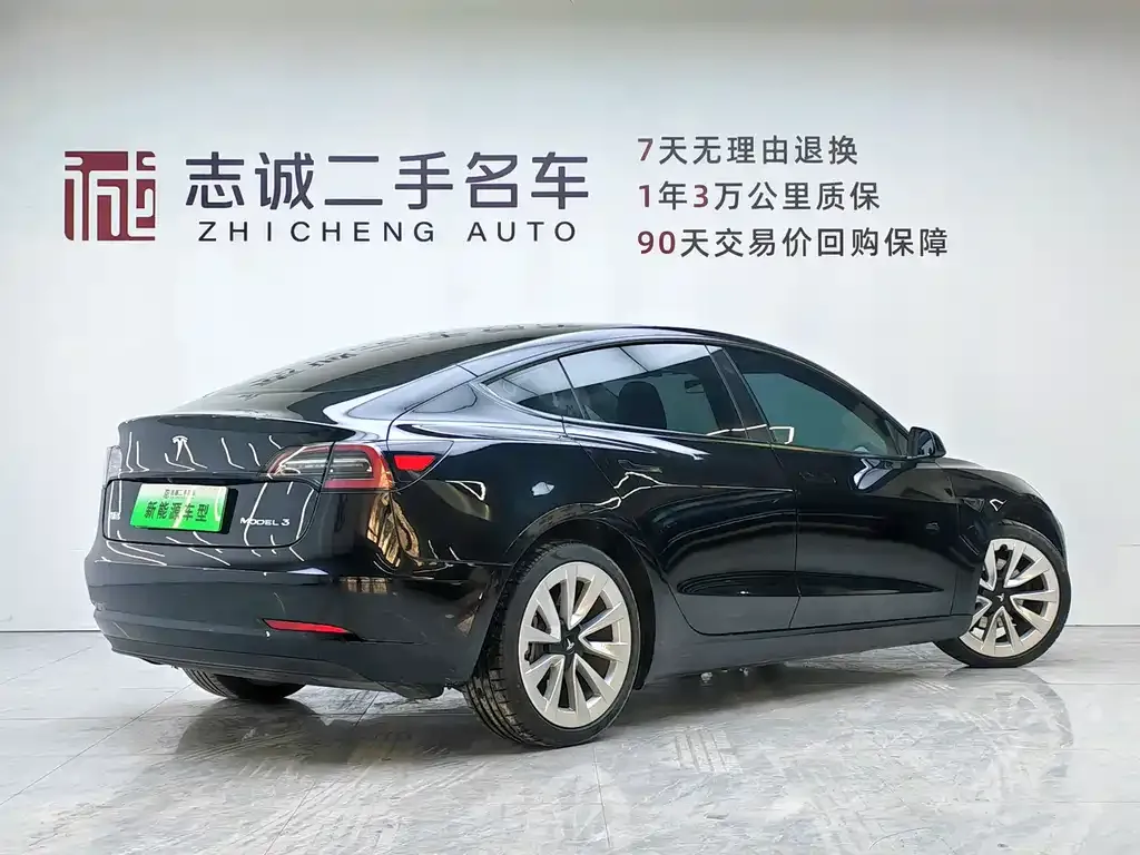 Tesla Model 3 2021 из CN, фото 2