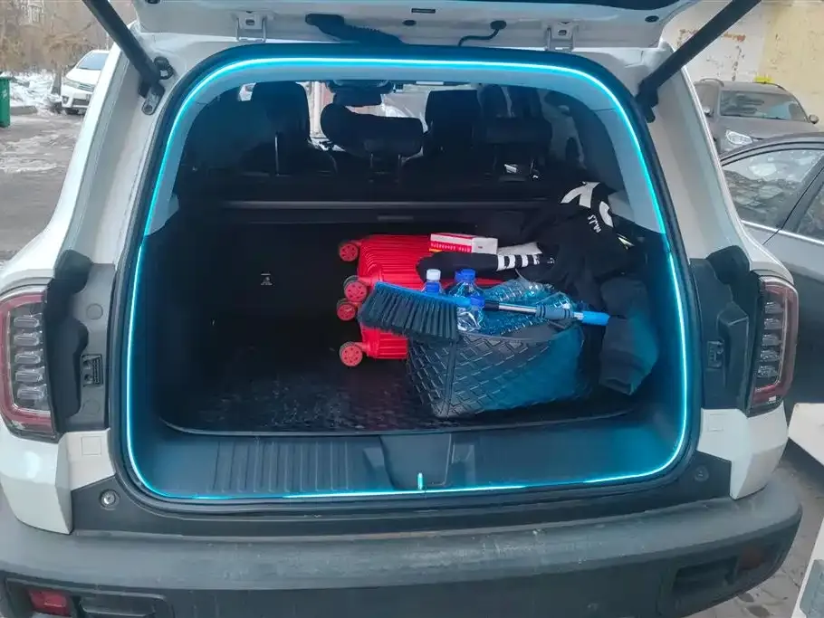 Haval Big Dog 2022 из CN, фото 9