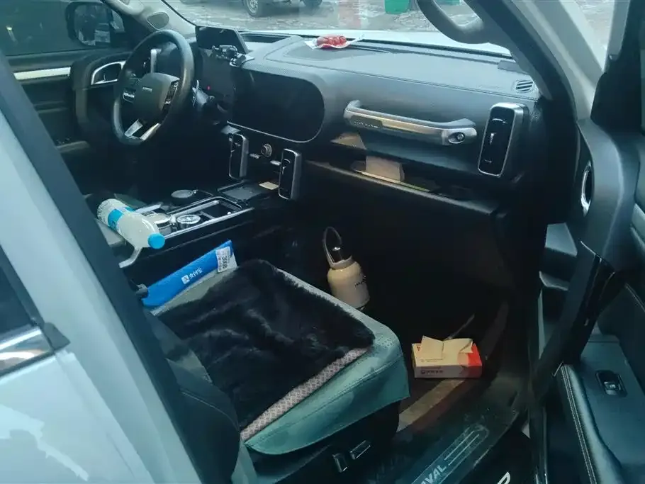 Haval Big Dog 2022 из CN, фото 6