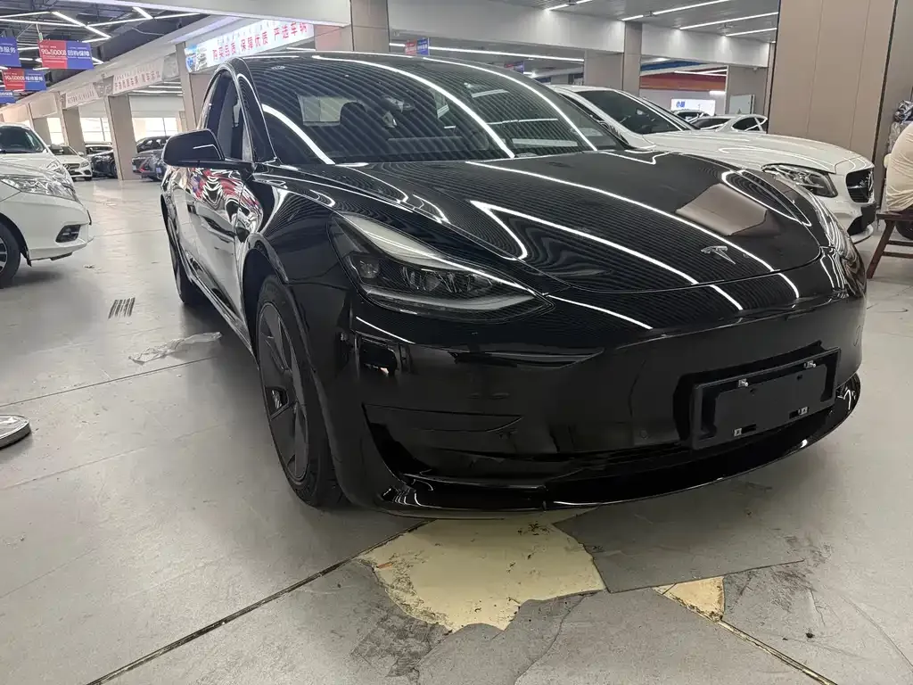 Tesla Model 3 2021 из CN, фото 1