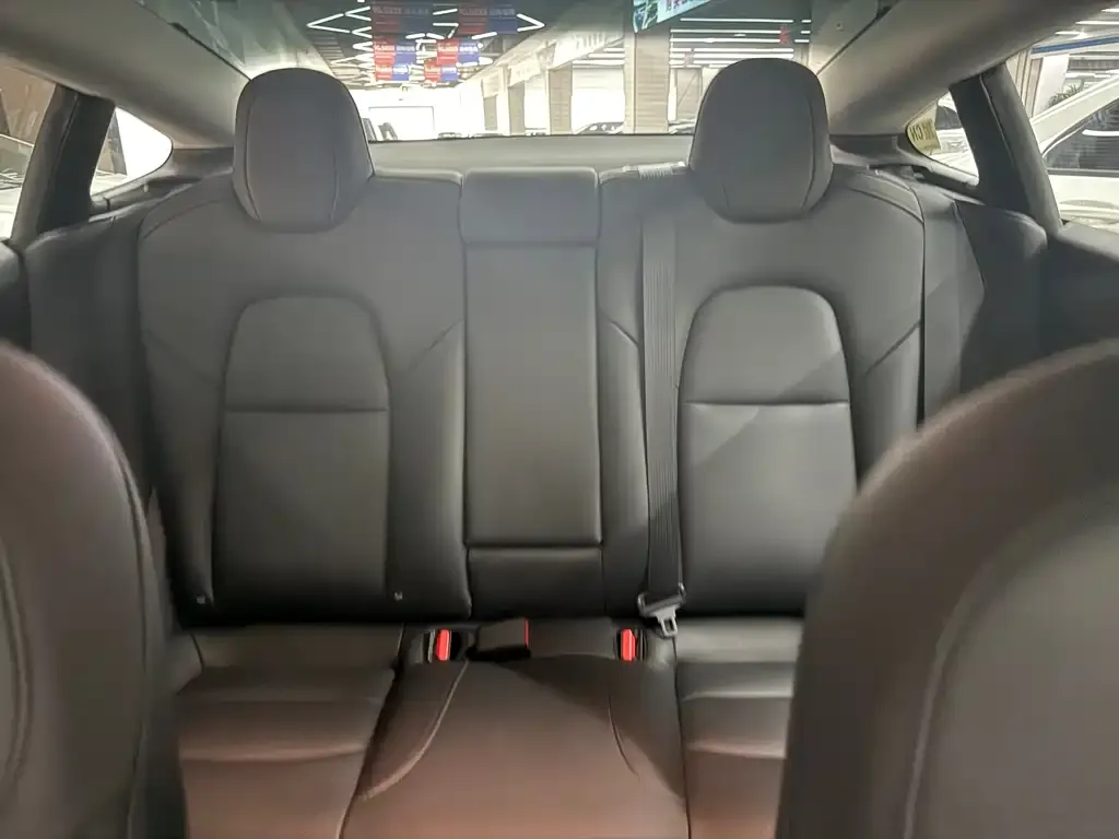 Tesla Model 3 2021 из CN, фото 3