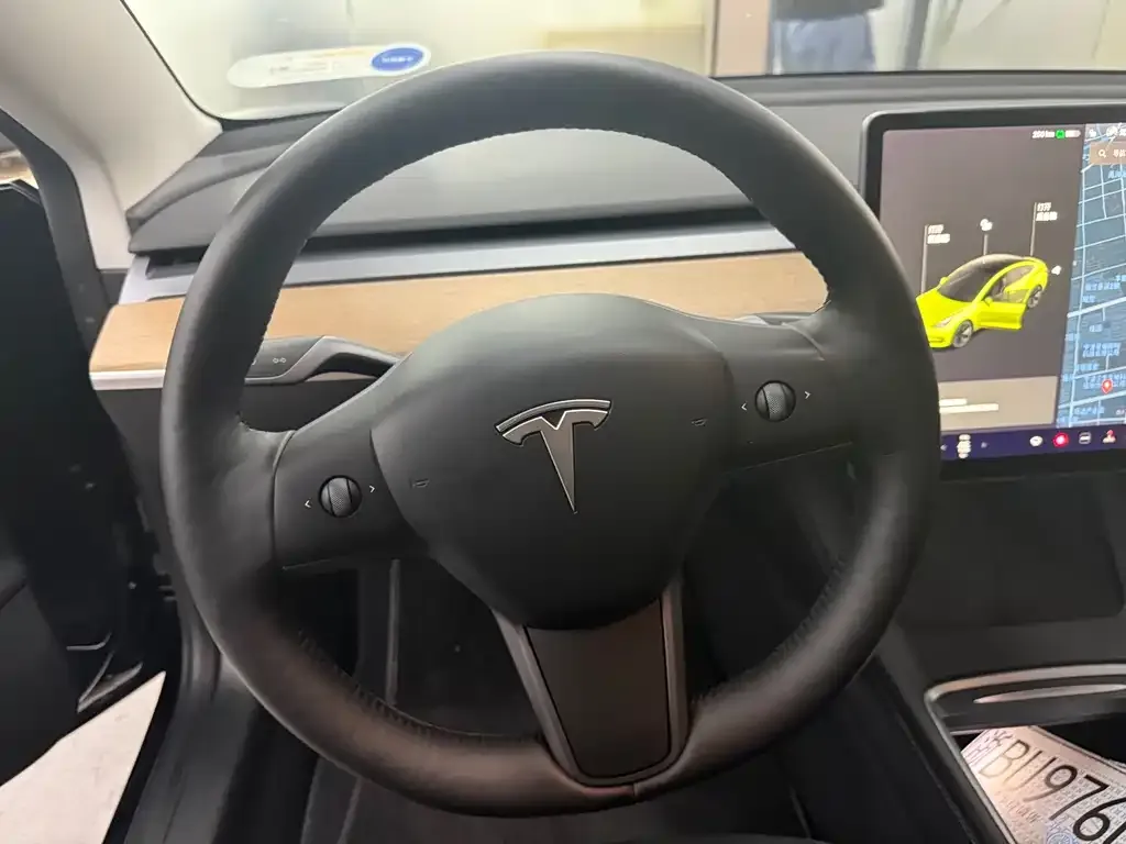Tesla Model 3 2021 из CN, фото 6