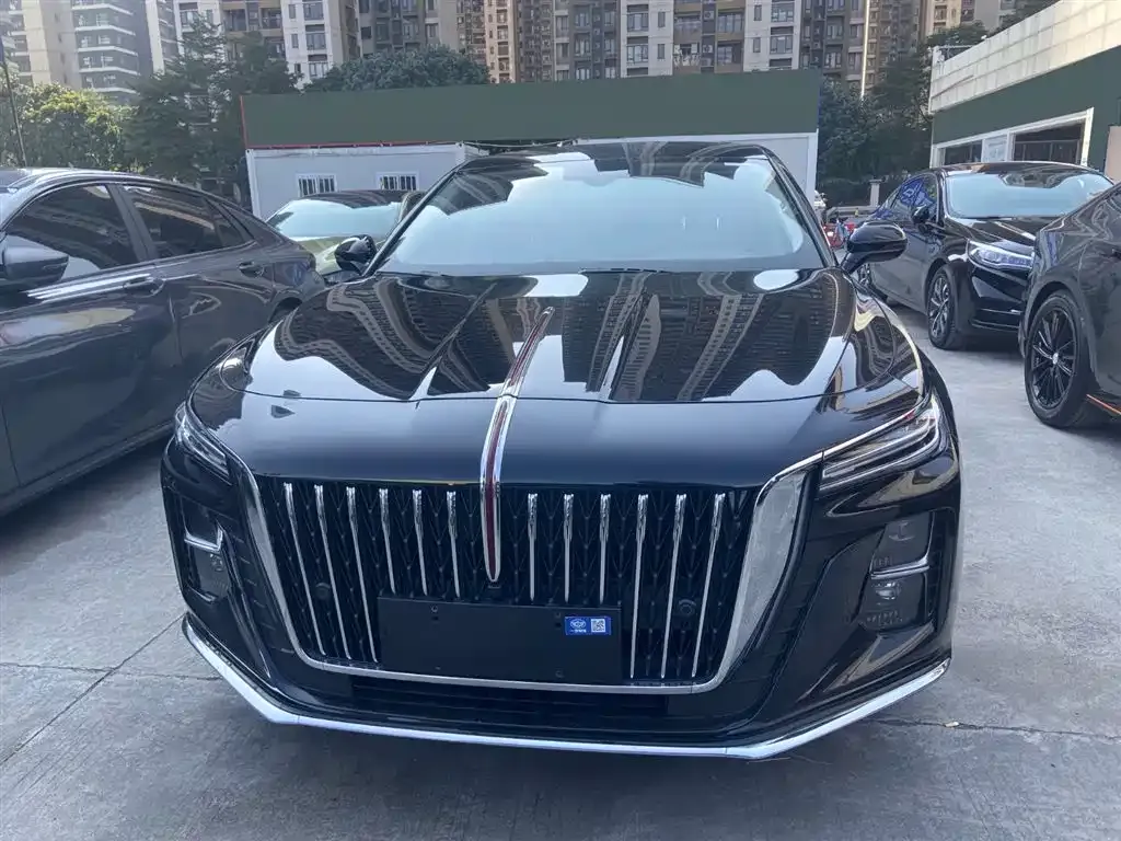 Hongqi H5 2023 из CN, фото 4