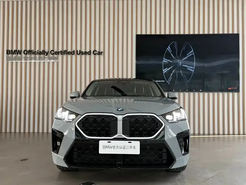 BMW X2 (Import) 2025 из CN, фото 8