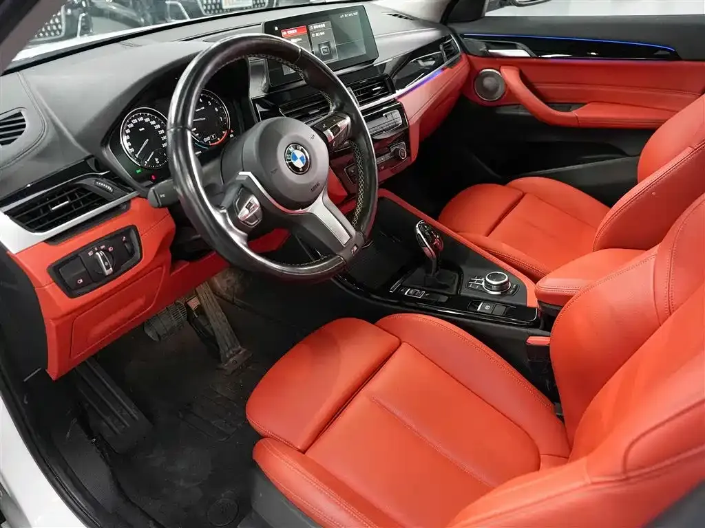 BMW X2 2024 из CN, фото 8