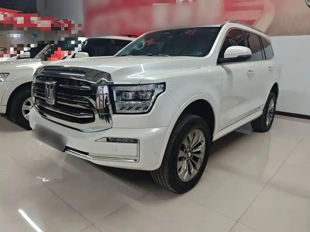 Tank 500 New Energy 2024 из CN, фото 8