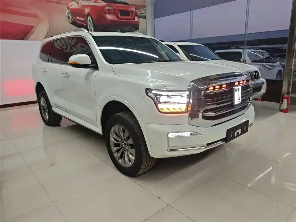 Tank 500 New Energy 2024 из CN, фото 9