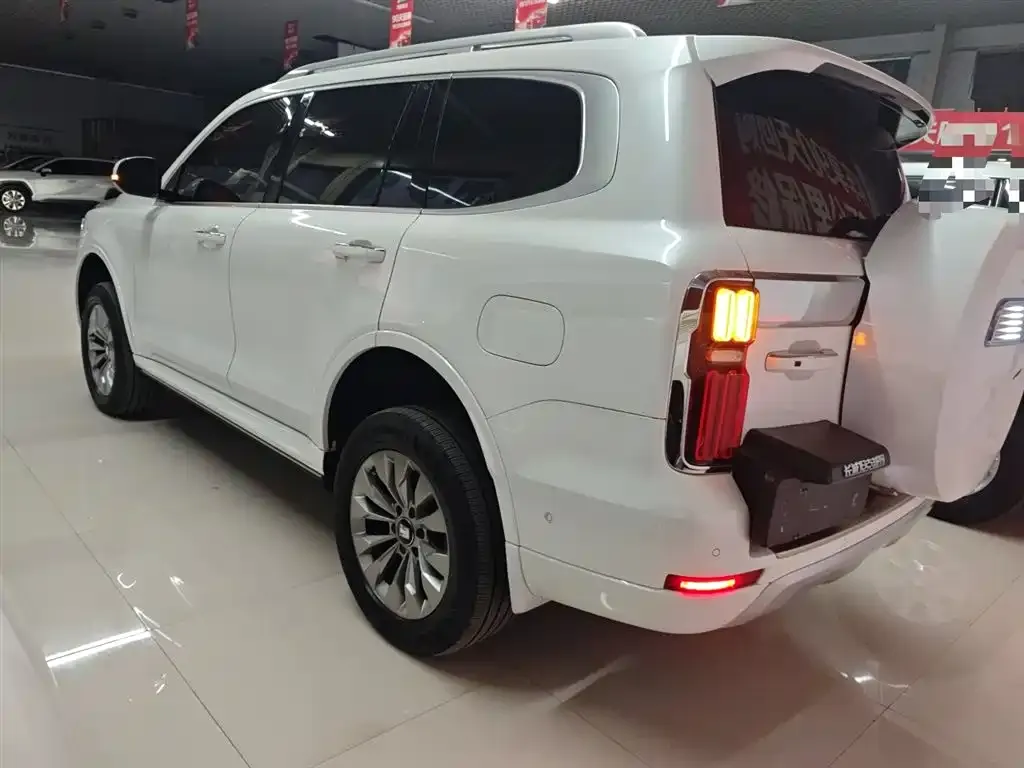Tank 500 New Energy 2024 из CN, фото 2