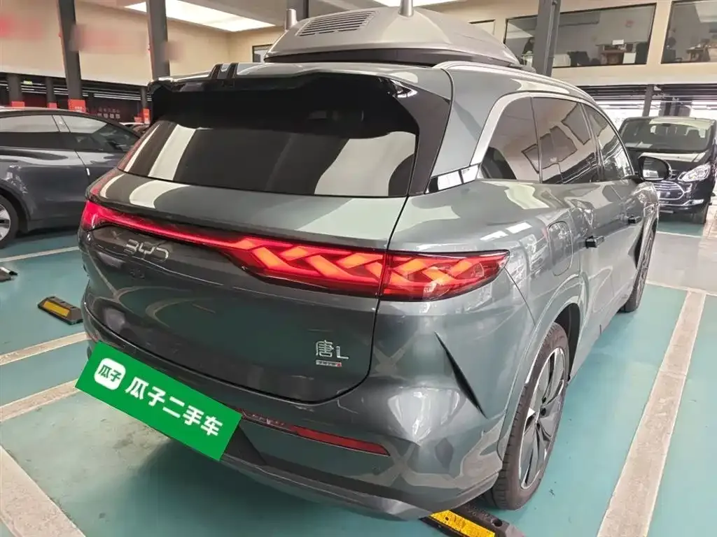 BYD Tang L 2025 из CN, фото 4