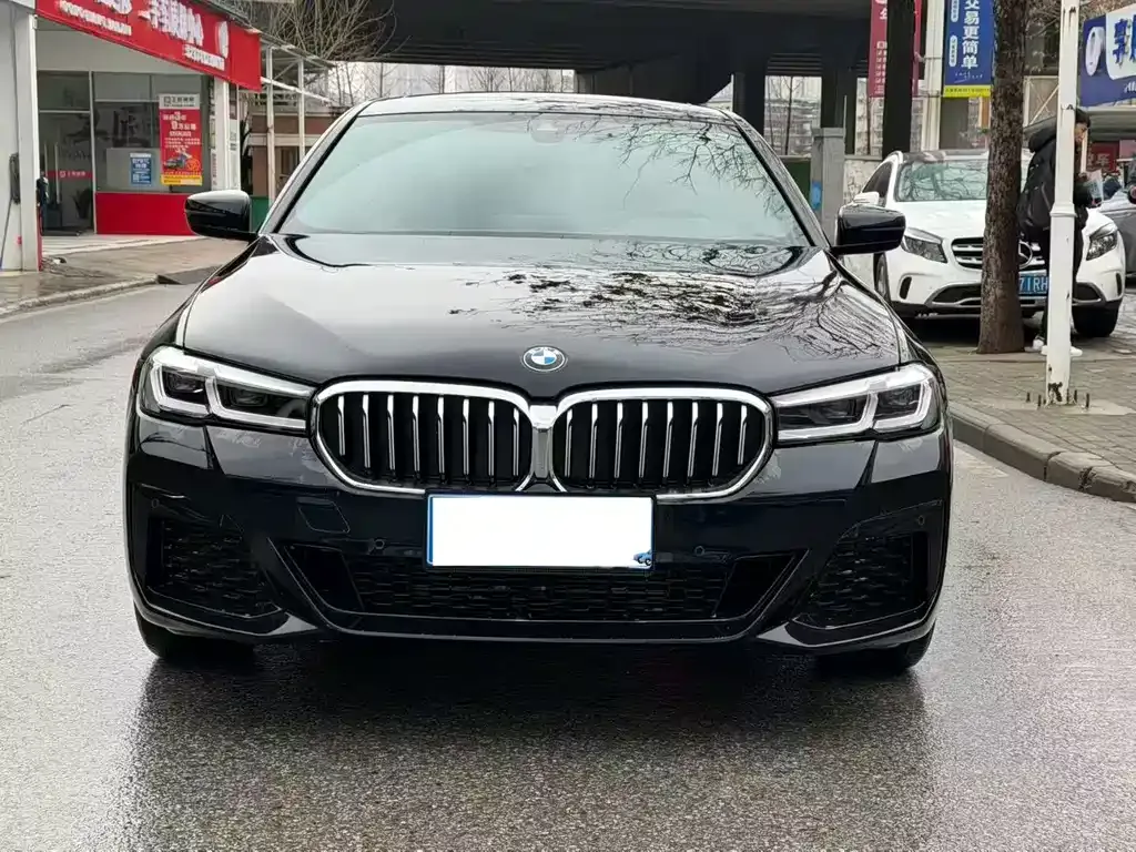 BMW 5 Series 2022 из CN, фото 6
