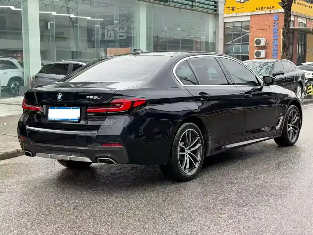 BMW 5 Series 2022 из CN, фото 4