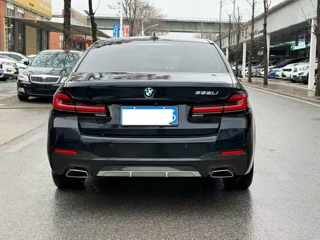 BMW 5 Series 2022 из CN, фото 5