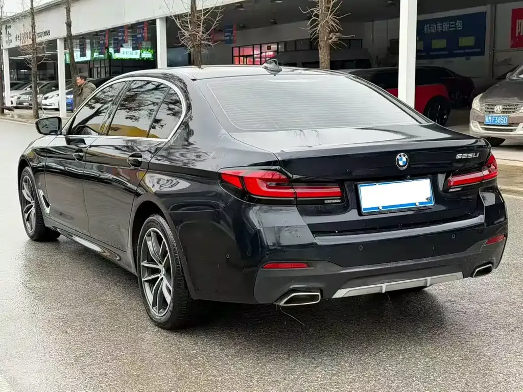 BMW 5 Series 2022 из CN, фото 8